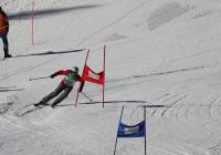 Landes-Ski-2015 45 Josef Sams Landes-Ski-2015 45 Josef Sams